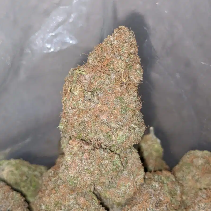 black cherry punch 3 I Black Cherry Punch