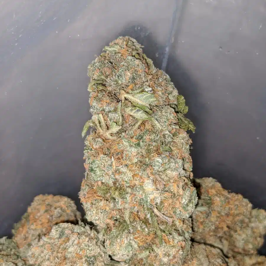 chemdawg 4 I Chemdawg OG