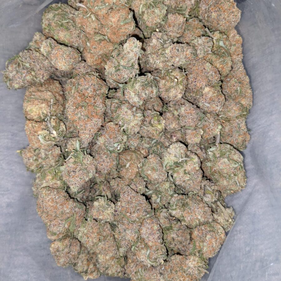 Chocolate Bubblegum - Image 5
