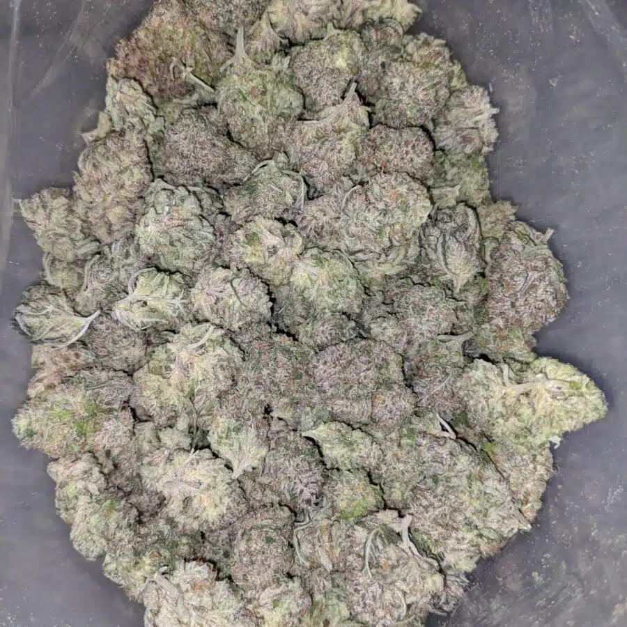 clemintine 1 I $ 60 Oz - Clementine