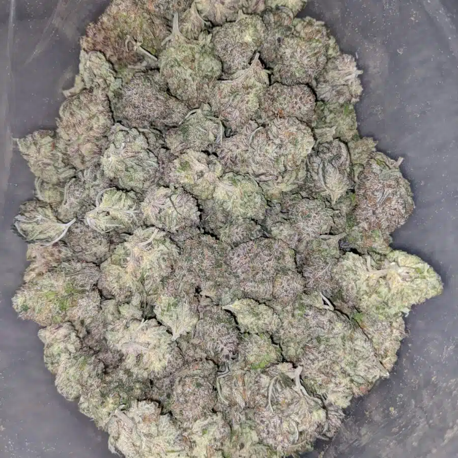 clemintine 2 I $ 60 Oz - Clementine