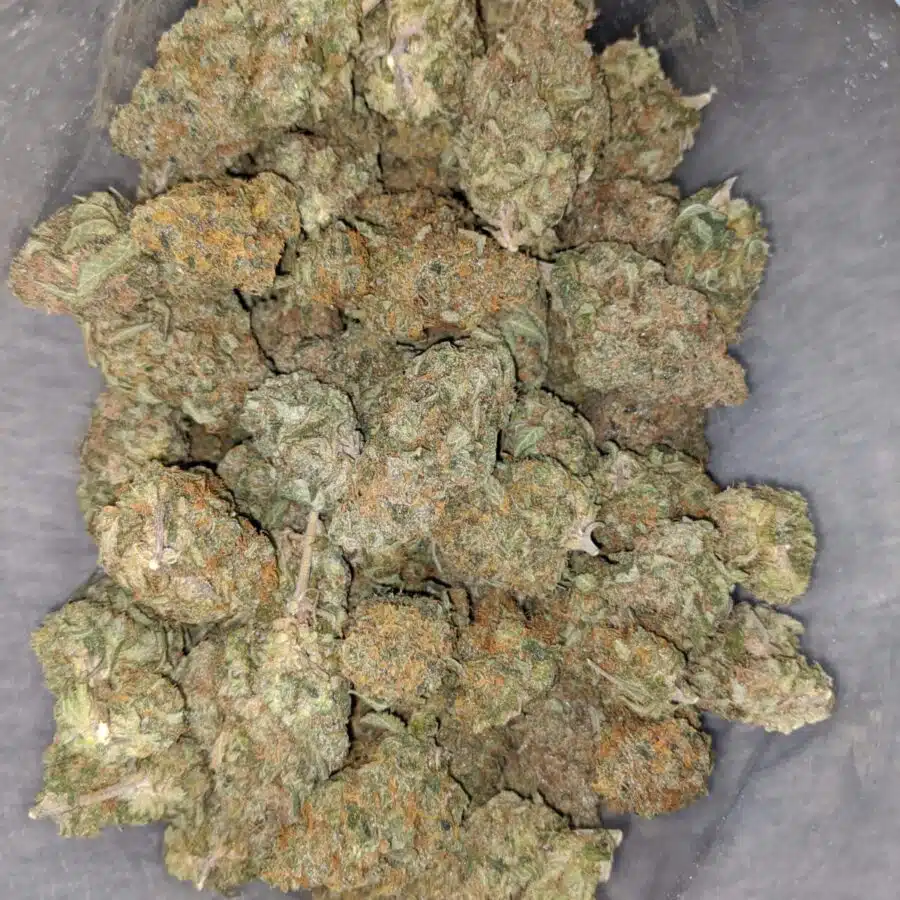 cosimic diesel 1 I Cosmic Diesel