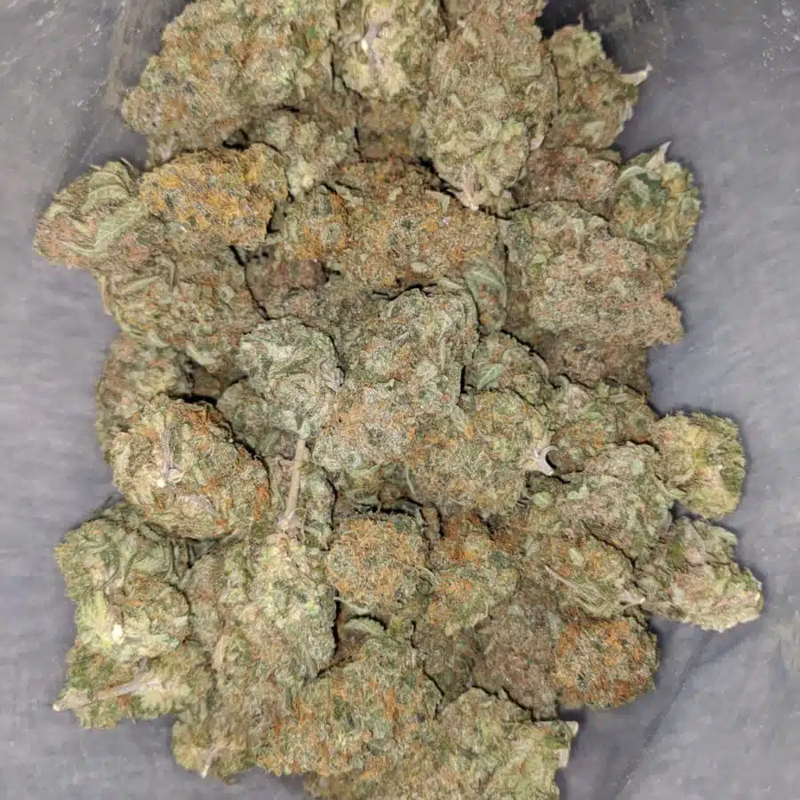 cosimic diesel 2 I Cosmic Diesel