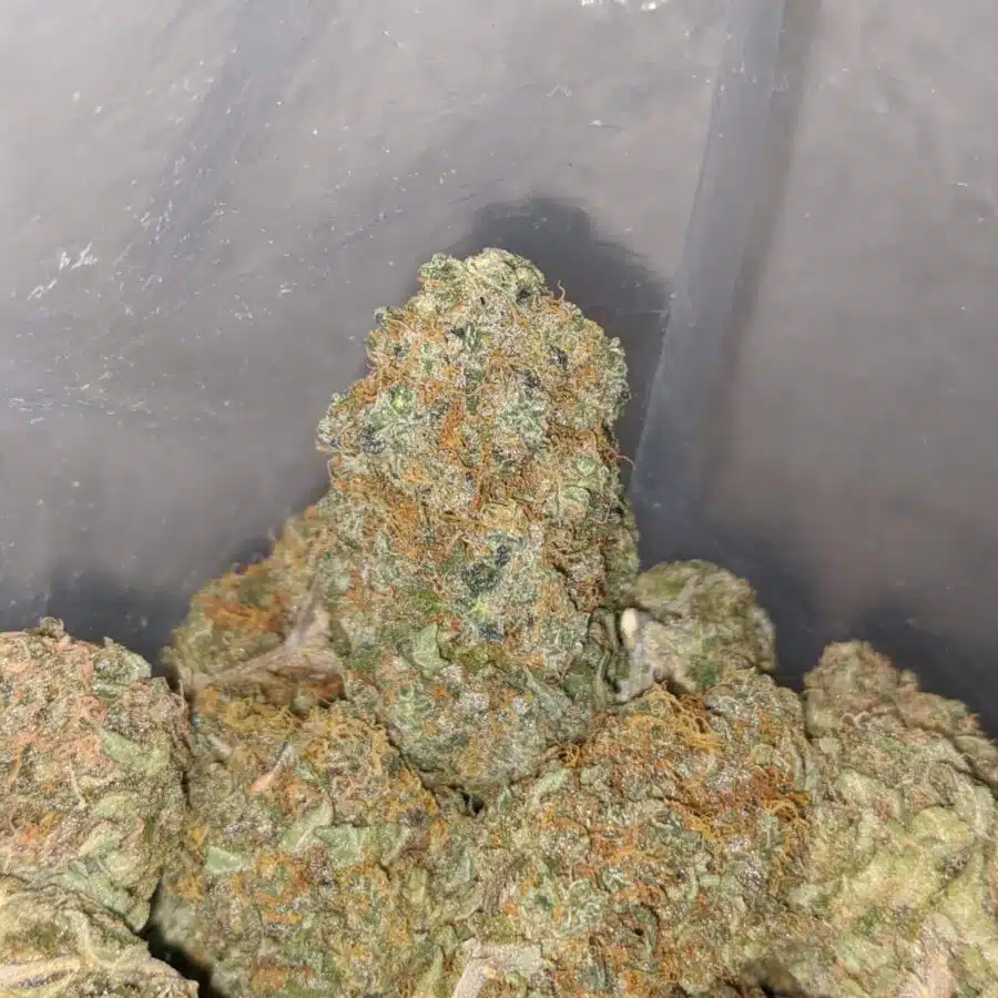 cosimic diesel 3 I Cosmic Diesel