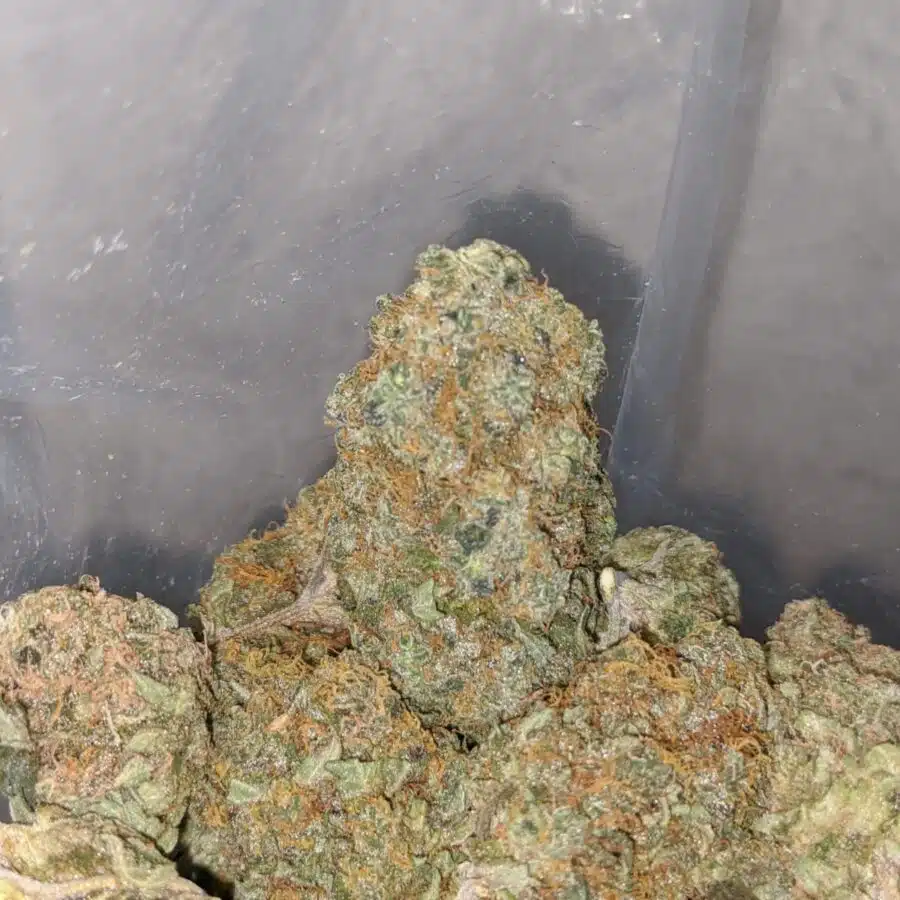 cosimic diesel 4 I Cosmic Diesel