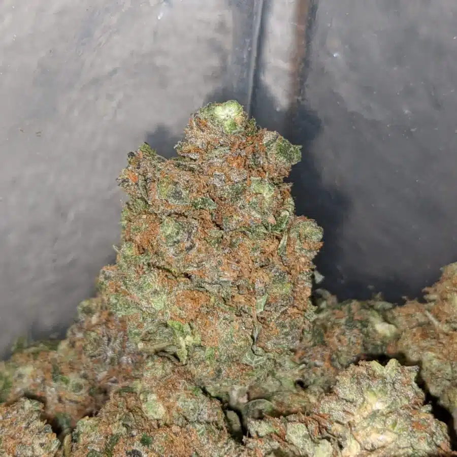 green hulk 3 I Green Hulk