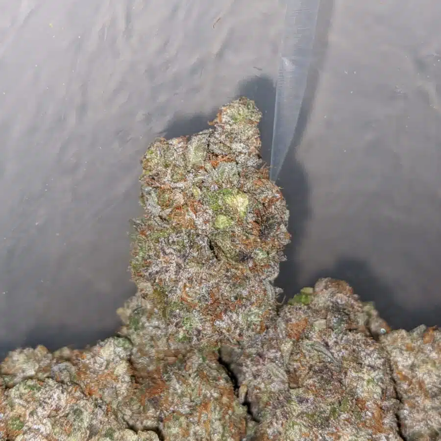 greenfarm holy grail 3 I $ 107 Oz - Darth Vader