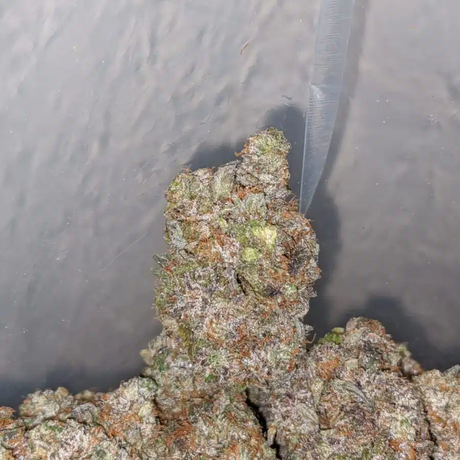 greenfarm holy grail 4 I $ 107 Oz - Darth Vader