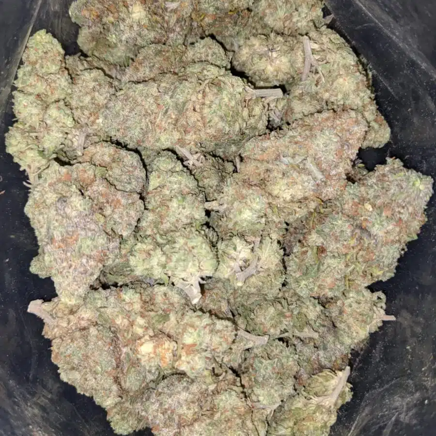ninja fruit 1 I $ 68 Oz - Ninja Fruit