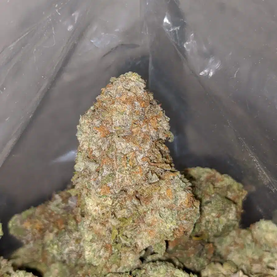 ninja fruit 3 I $ 68 Oz - Ninja Fruit