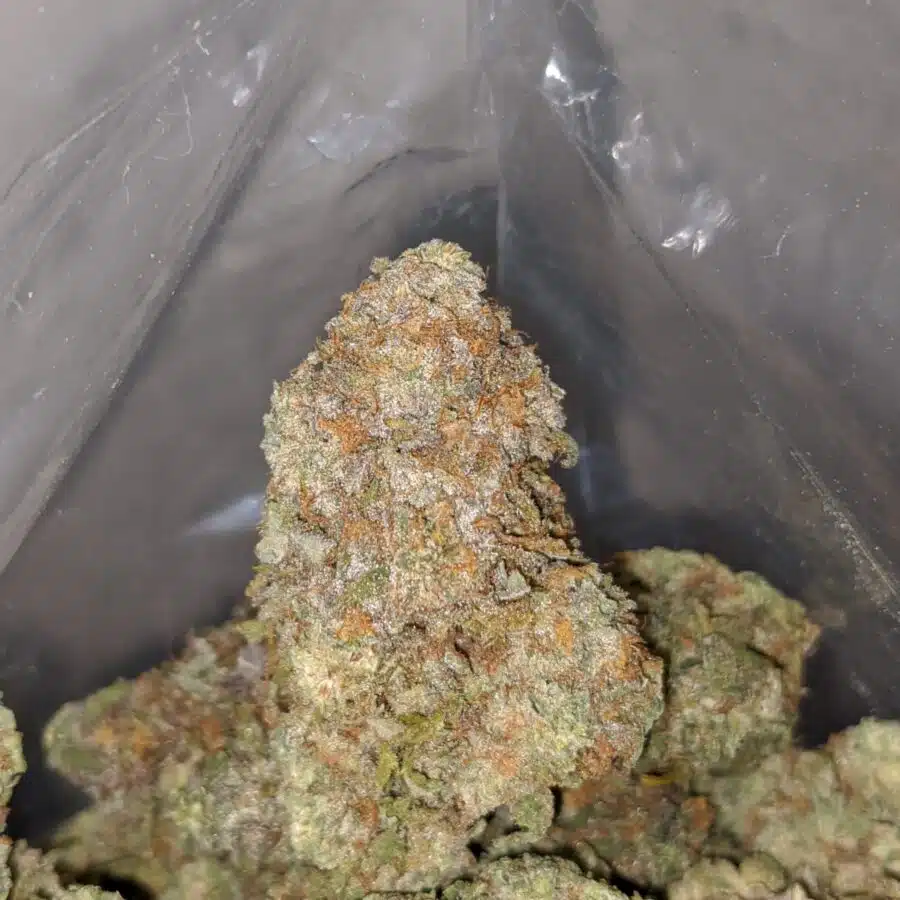 ninja fruit 4 I $ 68 Oz - Ninja Fruit