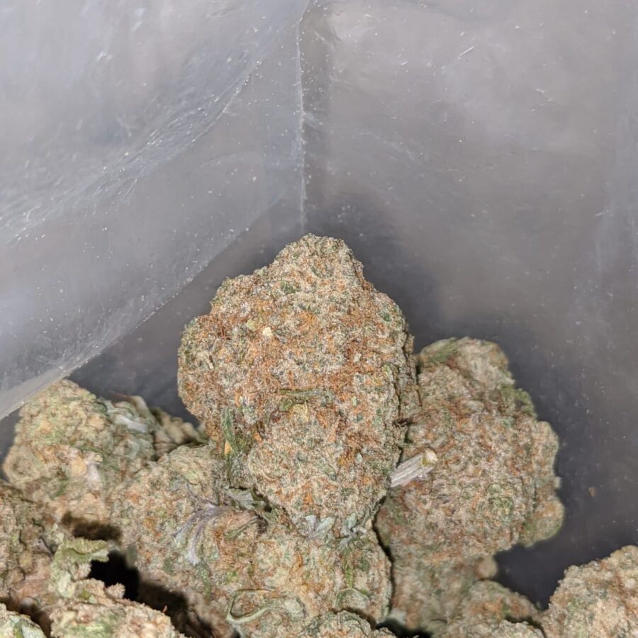 Pineapple Citrix - Image 7