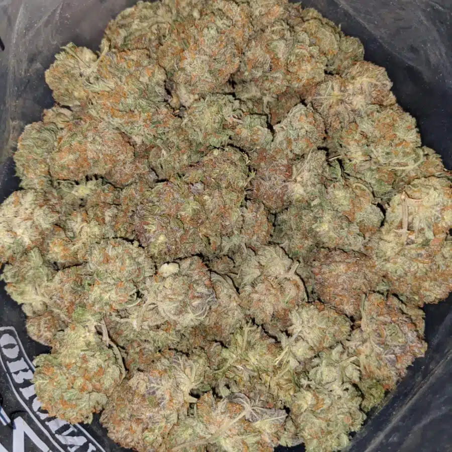 platinum dosi cookies 1 I Platinum DoSi Cookies