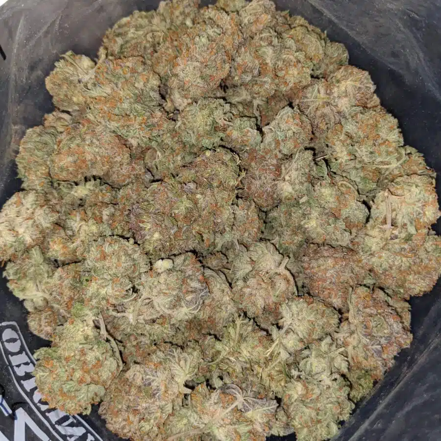 platinum dosi cookies 2 I Platinum DoSi Cookies