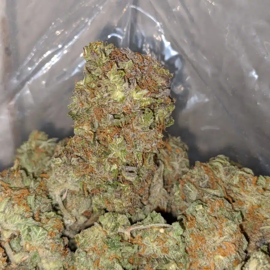 platinum dosi cookies 3 I Platinum DoSi Cookies