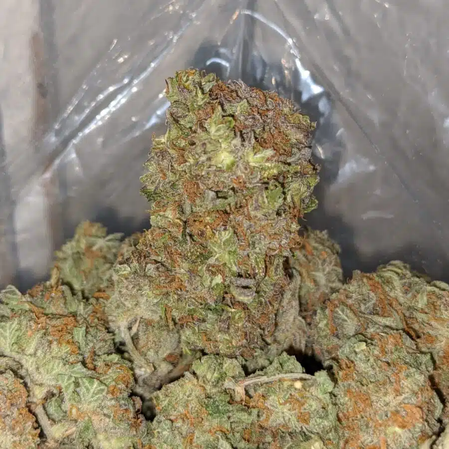 platinum dosi cookies 4 I Platinum DoSi Cookies