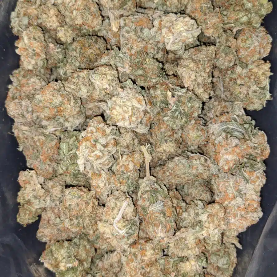 sour og kush 2 I Sour OG Kush