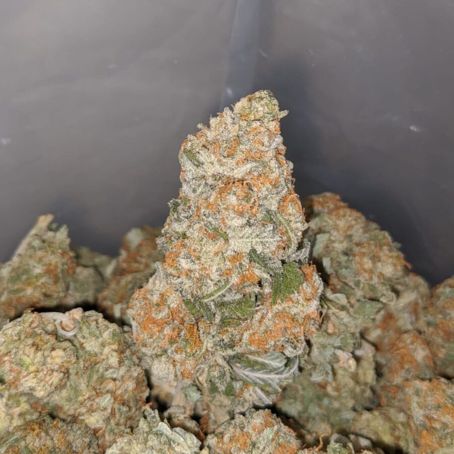Sour OG Kush - Image 7