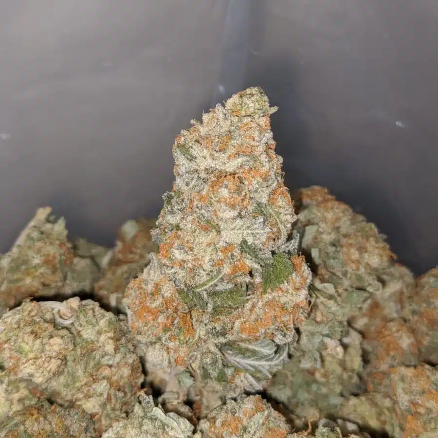 sour og kush 3 I Sour OG Kush