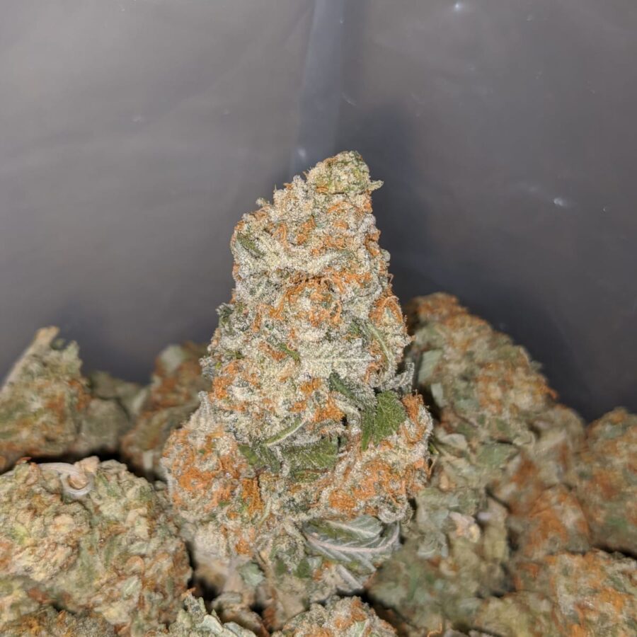 Sour OG Kush - Image 6