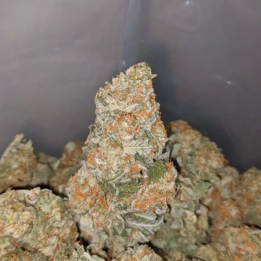 sour og kush 4 I Sour OG Kush