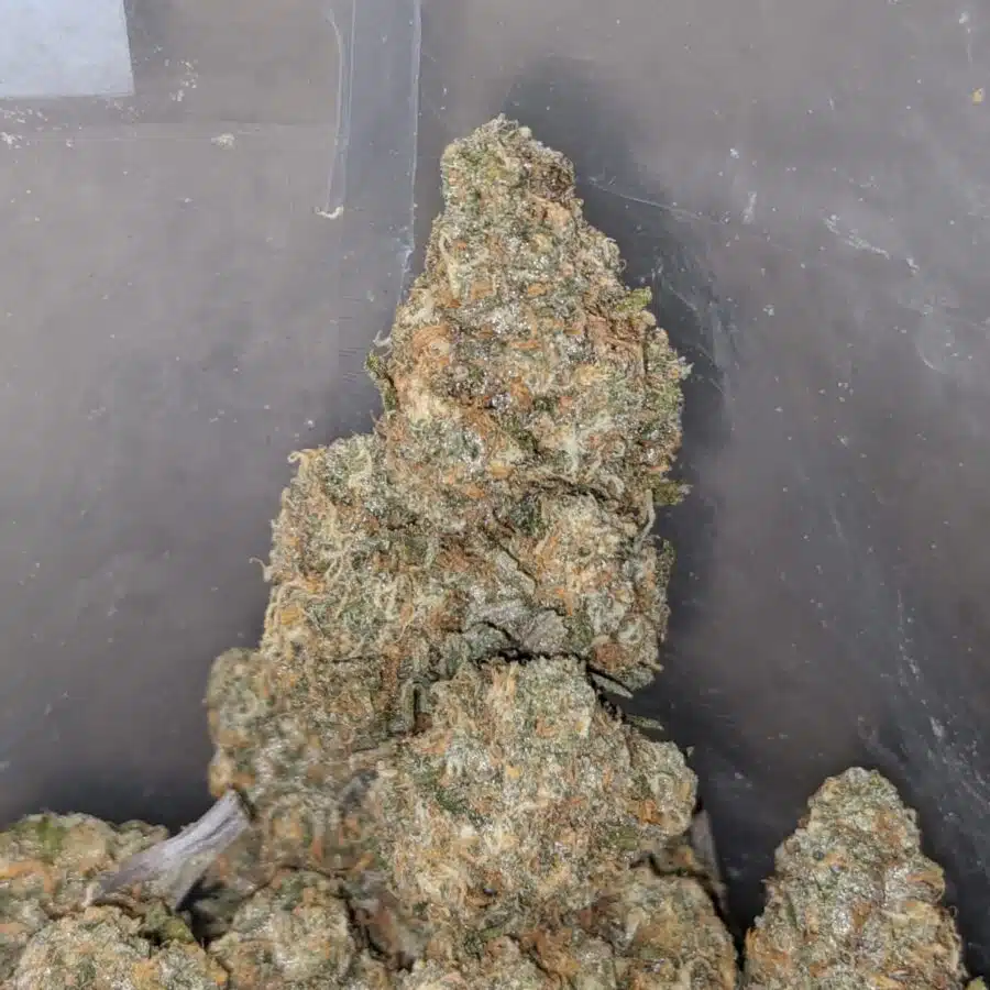 strawberry banana 4 I Strawberry Banana