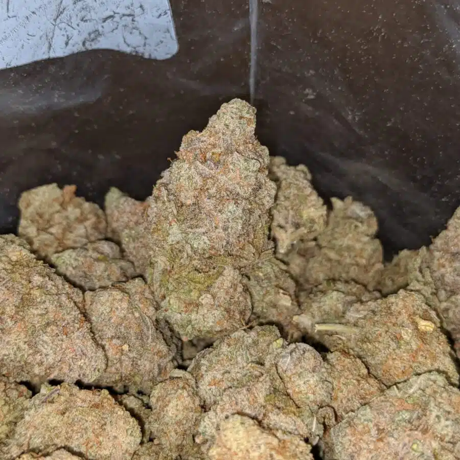 tonys mac 10 4 I Tony's MAC #10