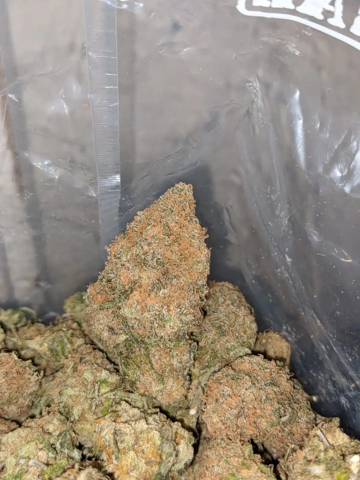 Tropical Gelato - Image 5