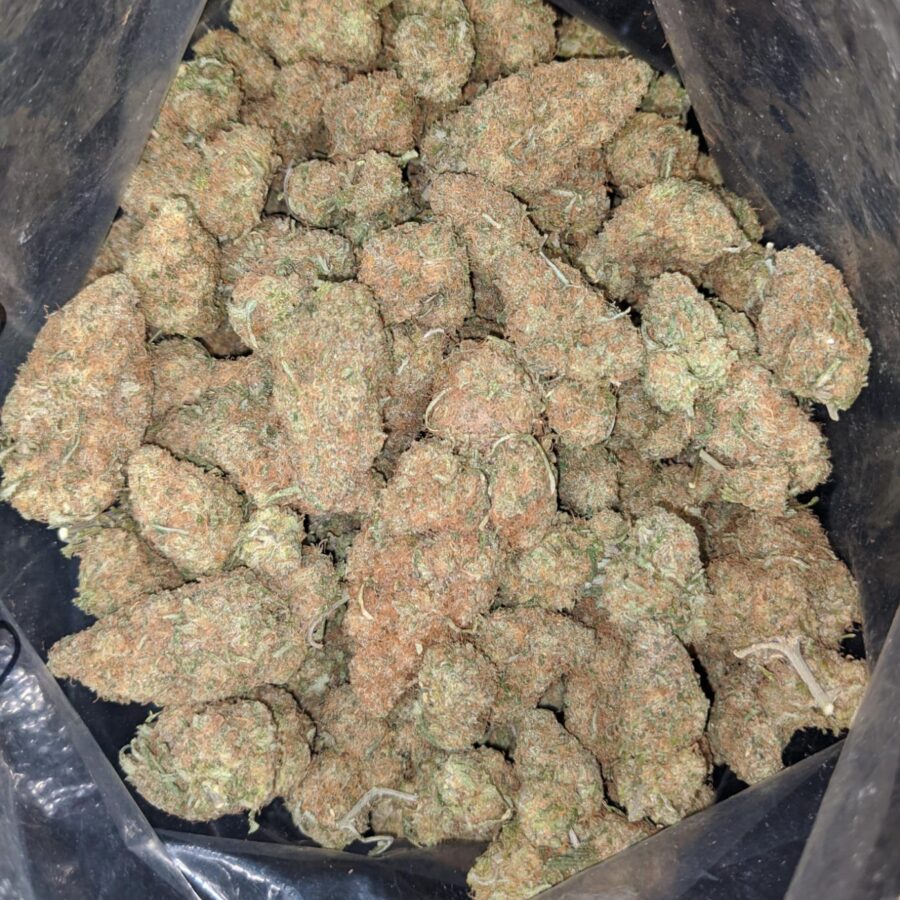 very berry gelato 1 I Very Berry Gelato