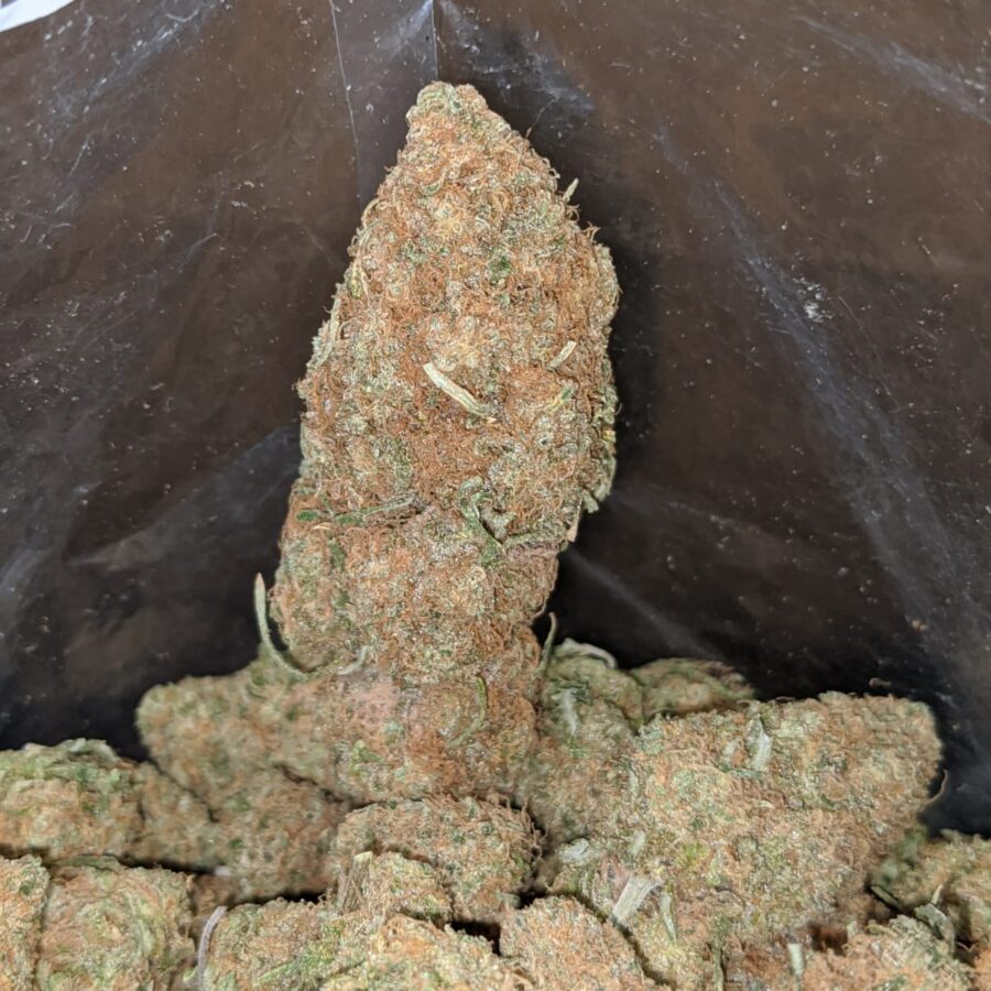 very berry gelato 3 I Very Berry Gelato