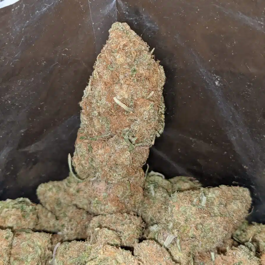 very berry gelato 3 I Very Berry Gelato