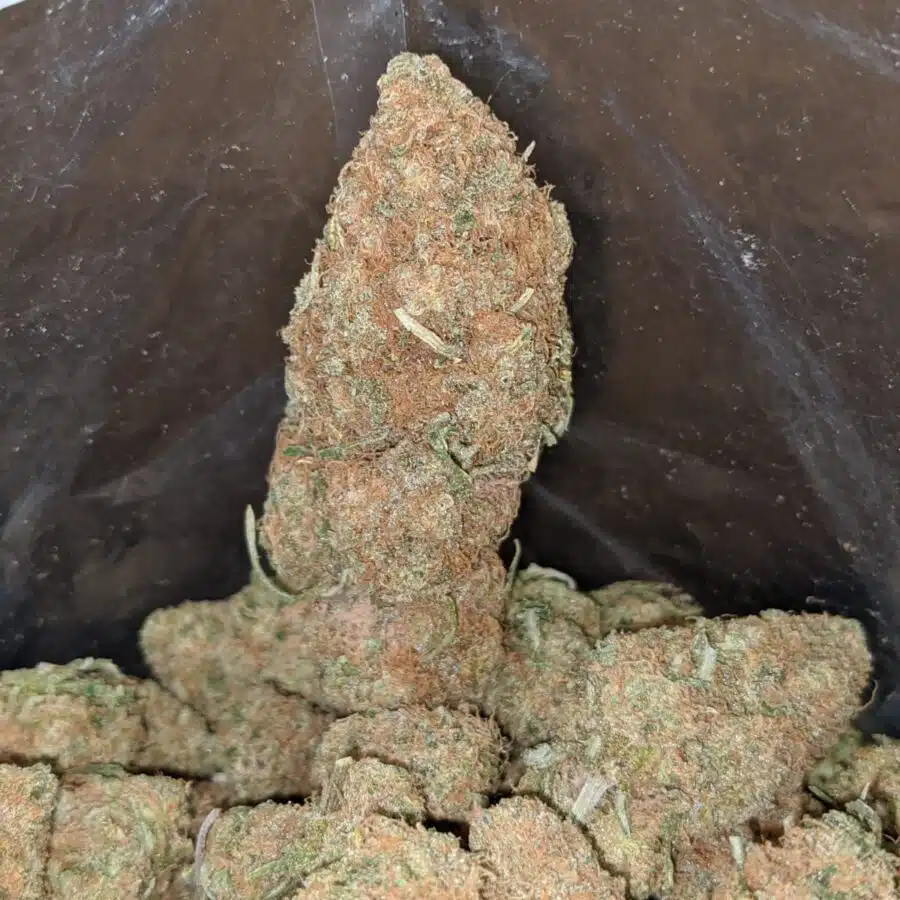very berry gelato 4 I Very Berry Gelato