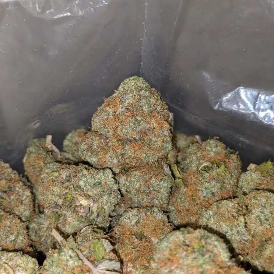 white truffle 4 I $ 65 Oz - White Truffle