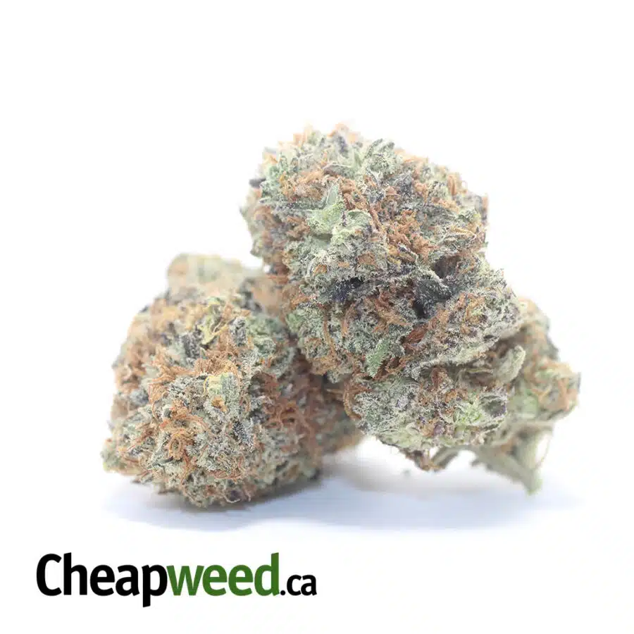 Alternative view of Blackberry x Blueberry