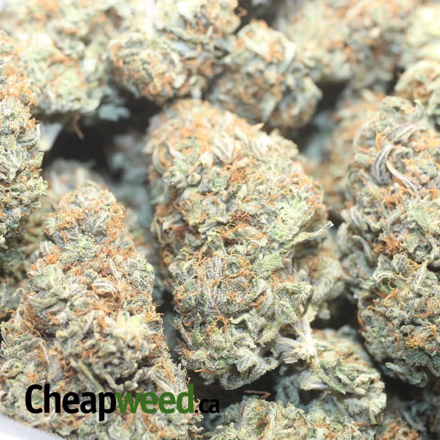 Butter OG - Image 3