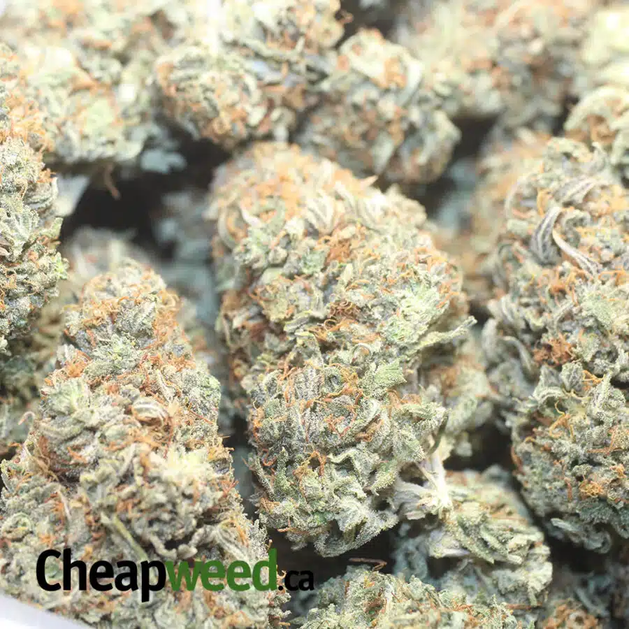 BUTTTER OG 1 I Butter OG