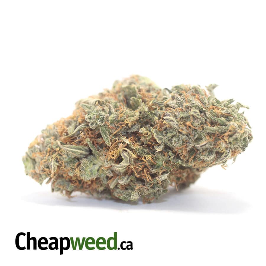Butter OG