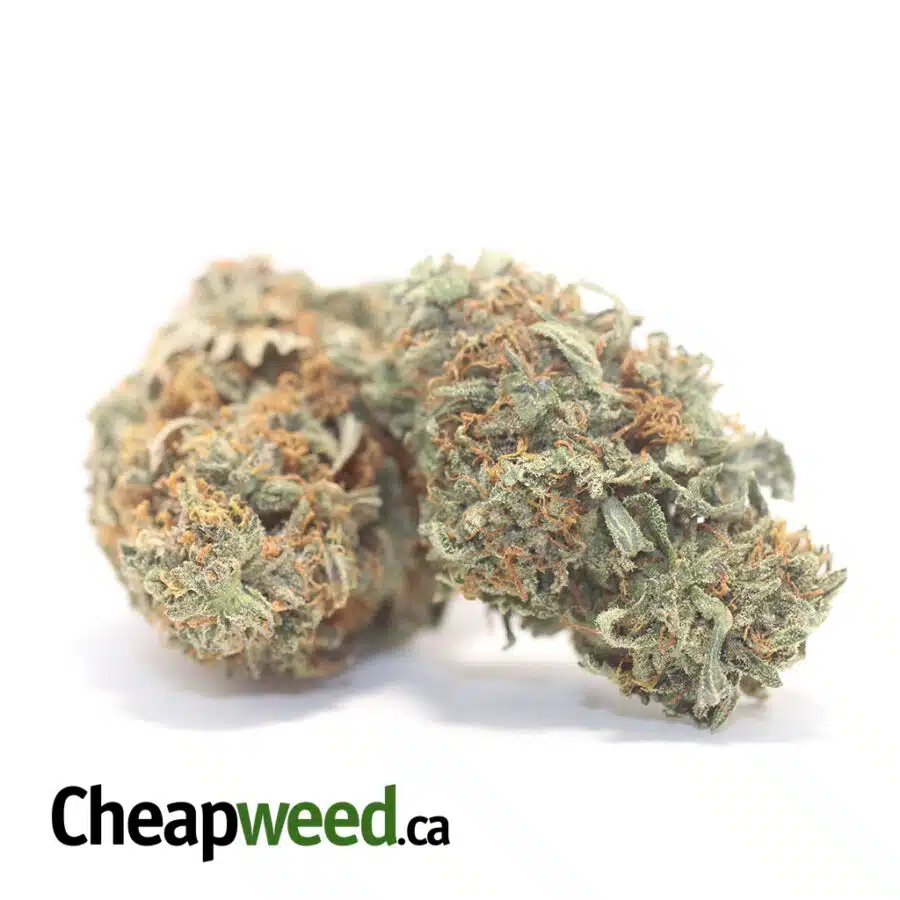 BUTTTER OG 3 I Butter OG