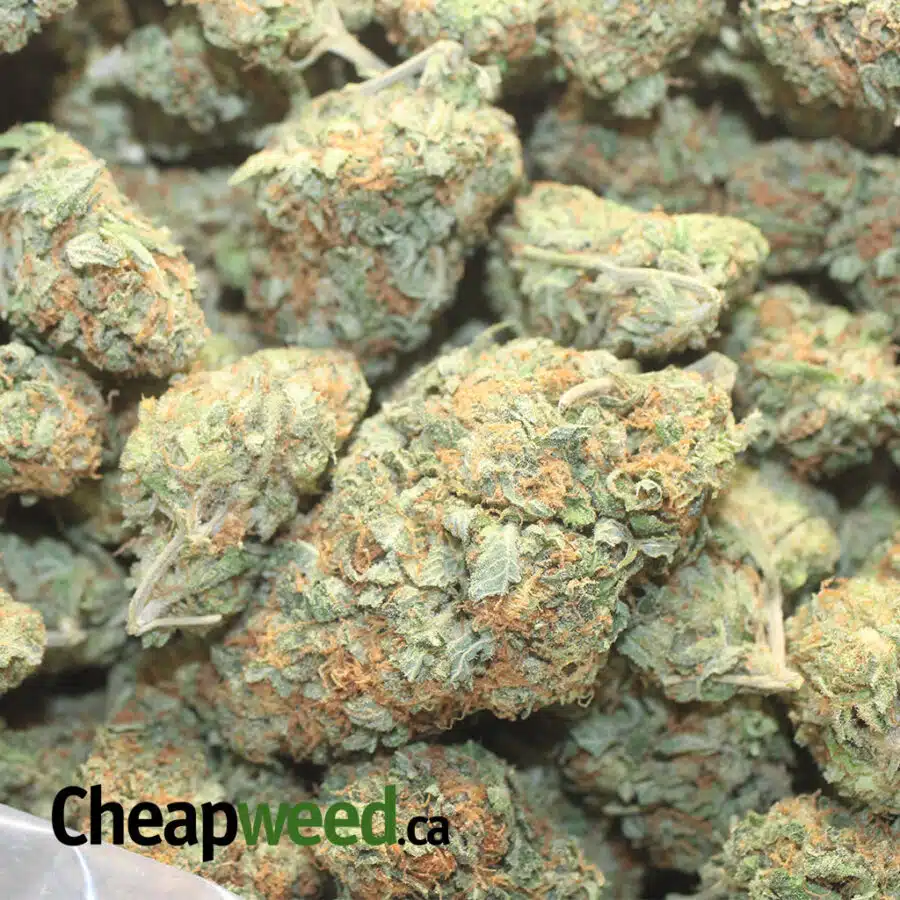 COOKIE DOUGH 1 I $ 72 Oz - Cookie Dough