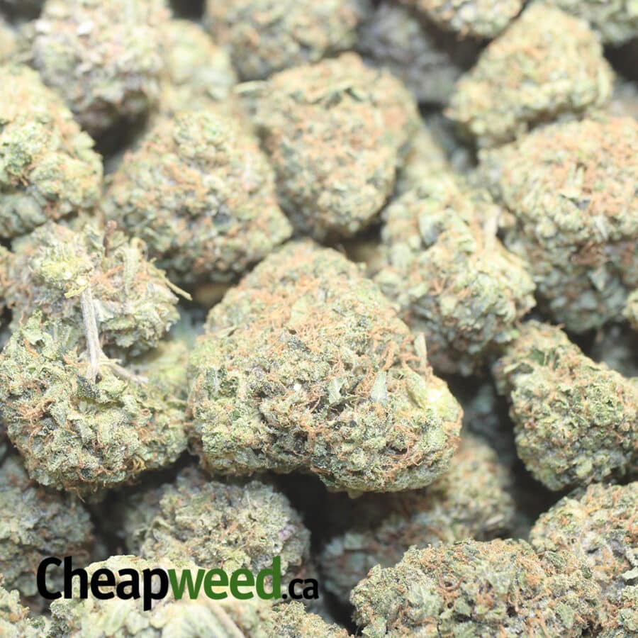 FIRE OG 1 I Fire OG