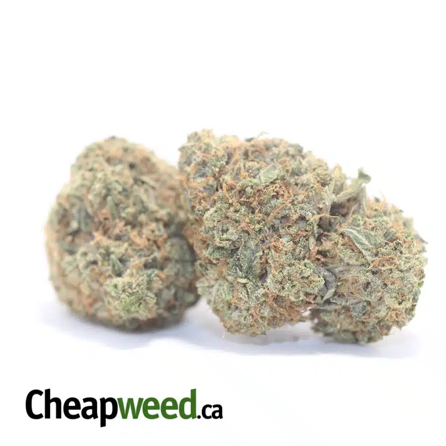 FIRE OG 3 I Fire OG