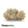 Golden Kosher - *Deal Of The Day*