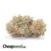 Golden Kosher - *Deal Of The Day*