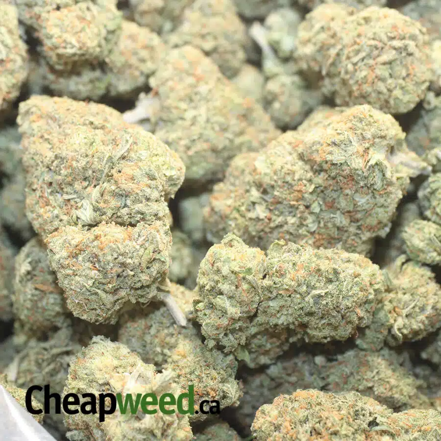 H OCTANE 1 I $ 75 Oz - High Octane