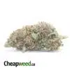 $ 59 Oz - Purple Bubba