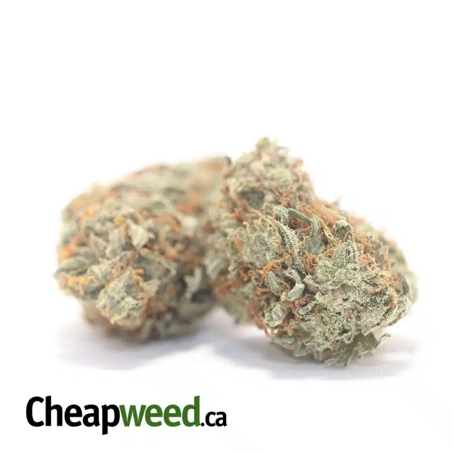 INC 3 I $ 61 Oz - Incredible