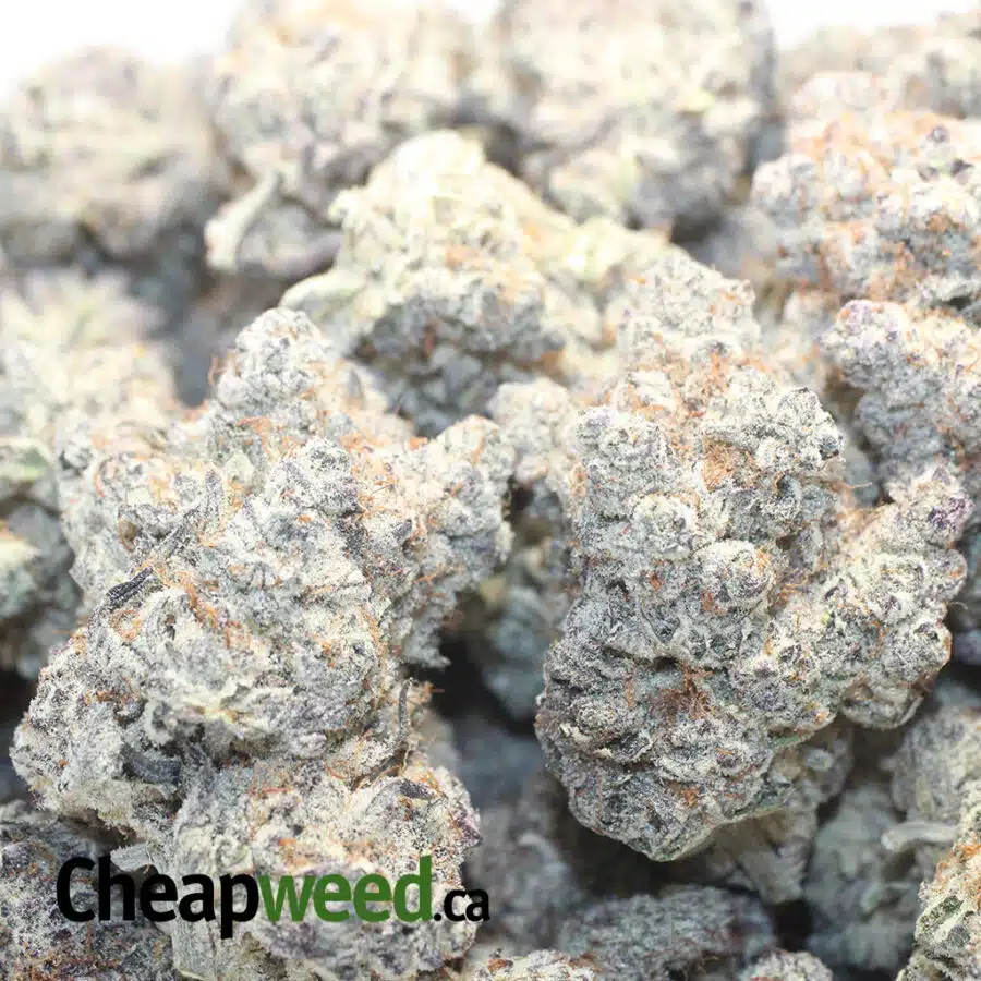 LA KUSH BREATH AAAA 3 I $ 150 Oz - La Kush Breath