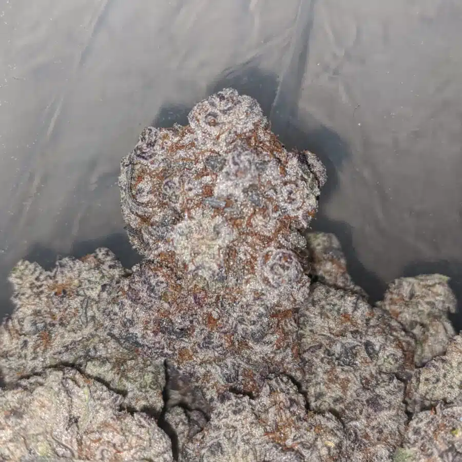 LA kush breath aaaa 3 I $ 150 Oz - La Kush Breath