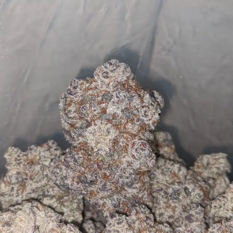 LA kush breath aaaa 4 I $ 150 Oz - La Kush Breath