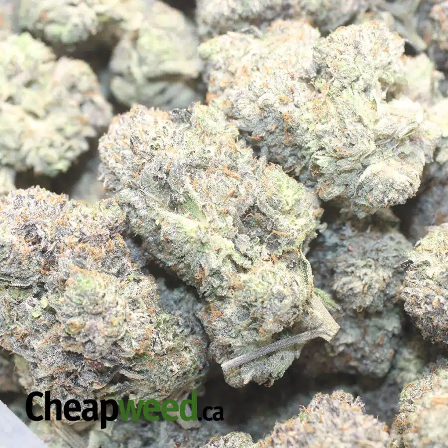 PINK DEATH AAAA 1 I $ 147 Oz - Pink Death